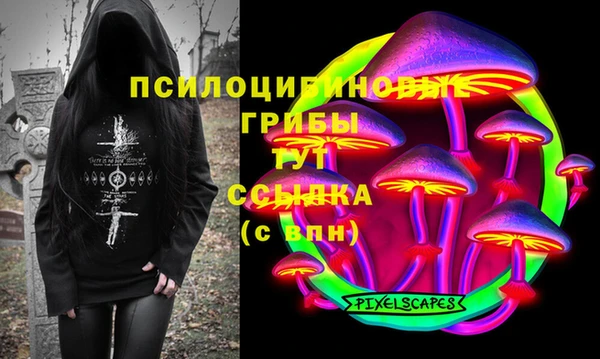 стаф Абинск