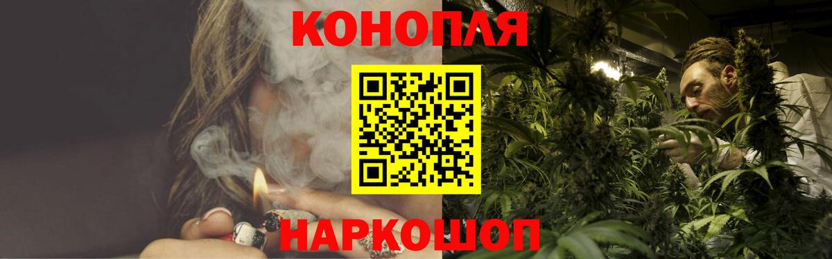 ГАШ Краснодар